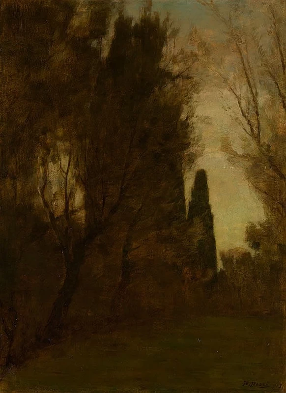Paesaggio nella foresta